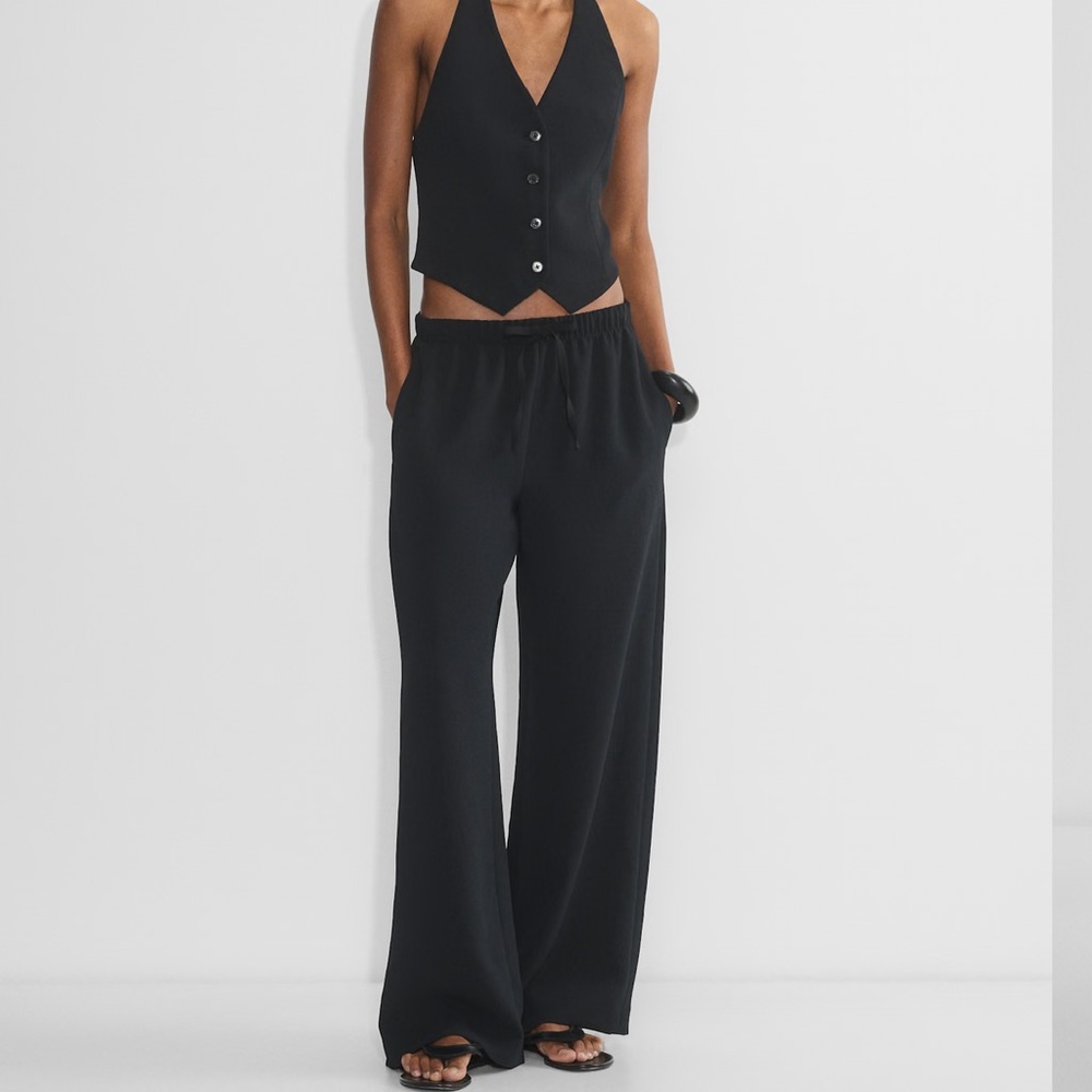Aritzia Wilfred Lodge Pant in Black